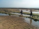  les petits parisiens sur la plage