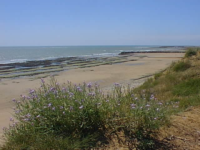 la plage de Grand Boisvinet  nos pieds et l'entre du port au fond,  droite