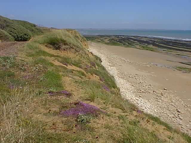 la plage de Longeville,  l'horizon