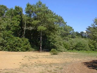 de ce banc on voit l'ile de R