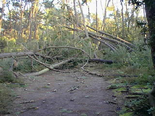 sur le sentier qui ramne  Ragounite