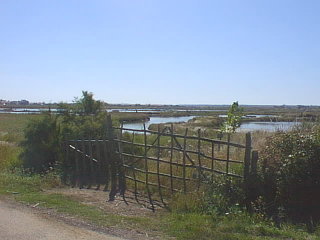 les marais prs de La Guittire