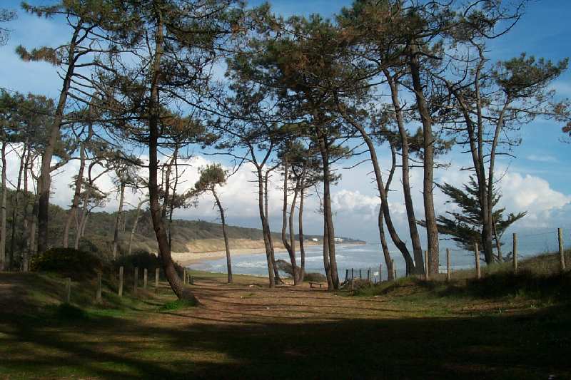 le bord de mer  Ragounite