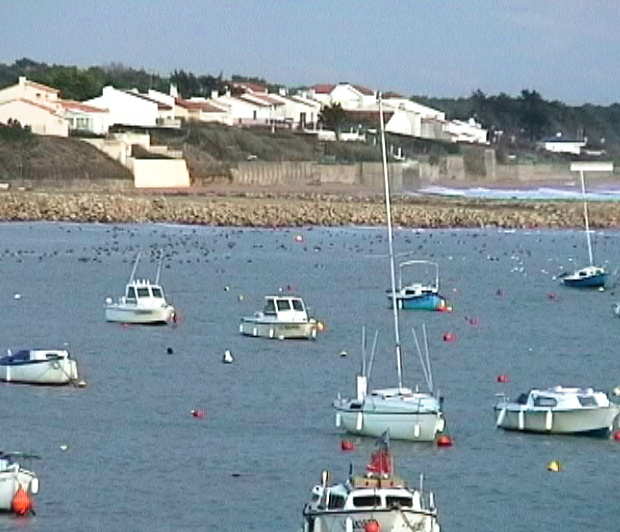  l'abri, dans le port